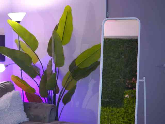 RaquelleVon RaquelleVon