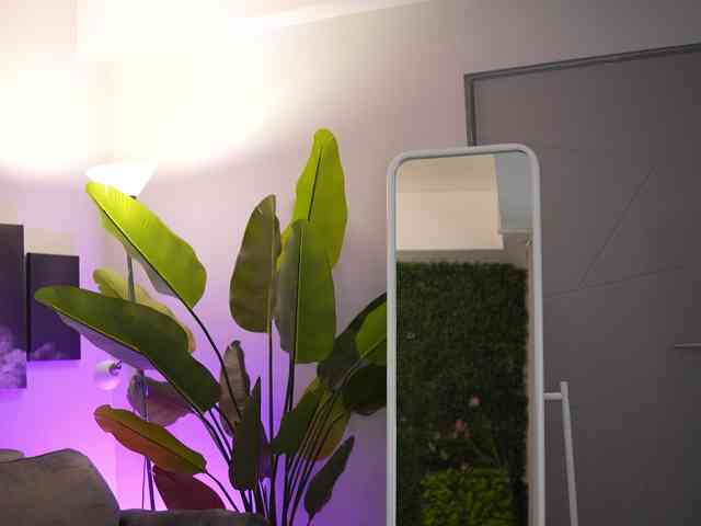 RaquelleVon RaquelleVon