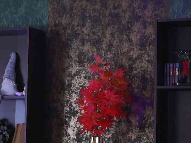 EvaSunderland webcam