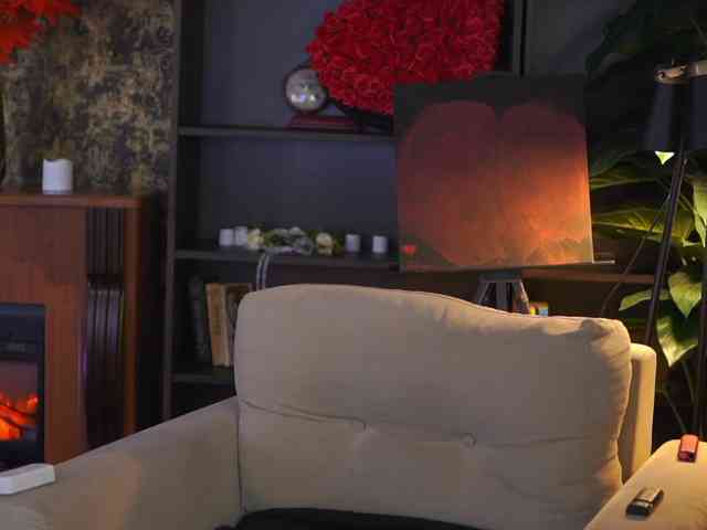 EvaSunderland webcam