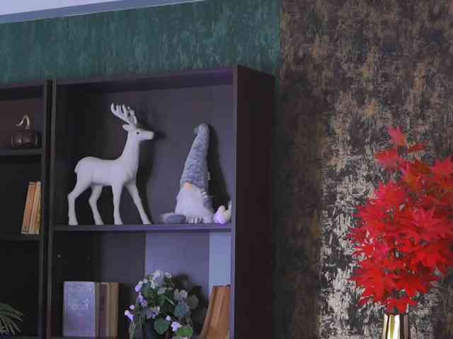 EvaSunderland webcam