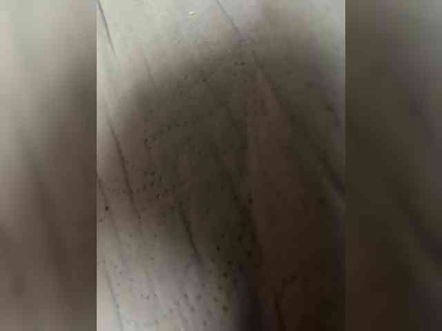 DmitryAndKarina webcam