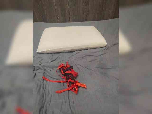 DmitryAndKarina webcam