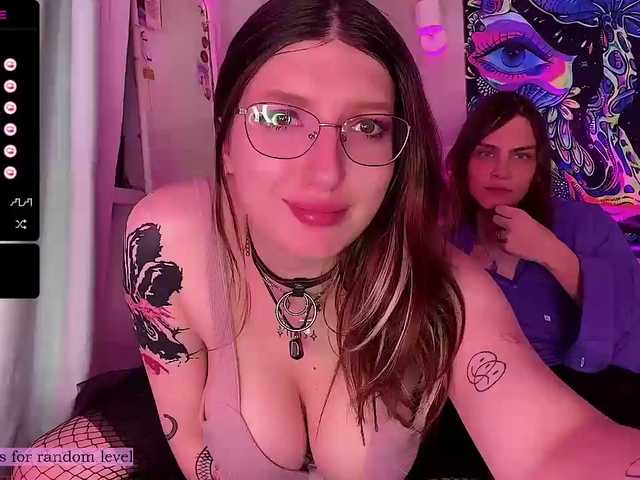 stupidcats Porn