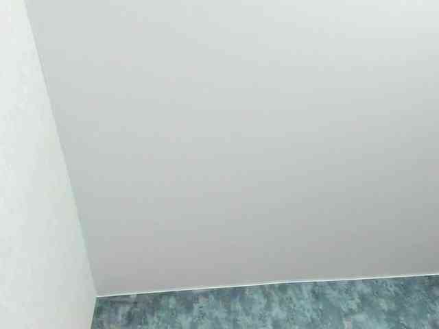 provocatemur provocatemur