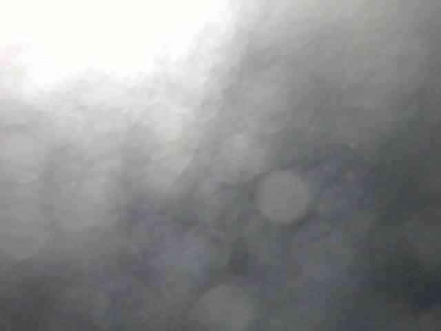 ameliiporter webcam