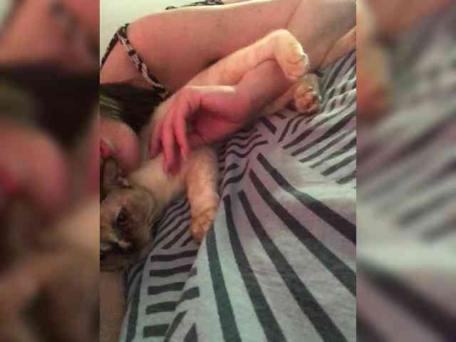 Kitana_mk webcam