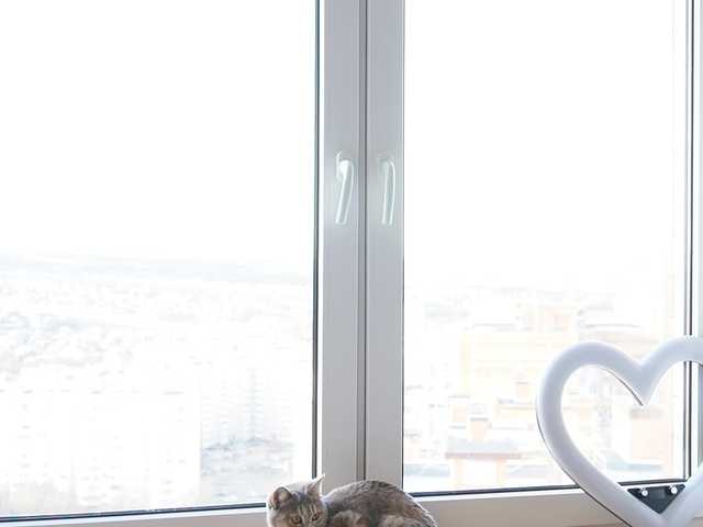 Рунетки: , секс чат бесплатно