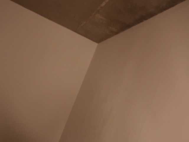 emely1benz from BongaCams is Freechat