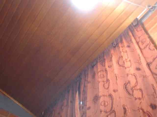 AlexandrinaFenix webcam