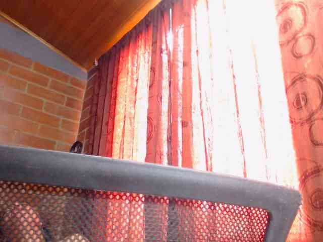 AlexandrinaFenix webcam