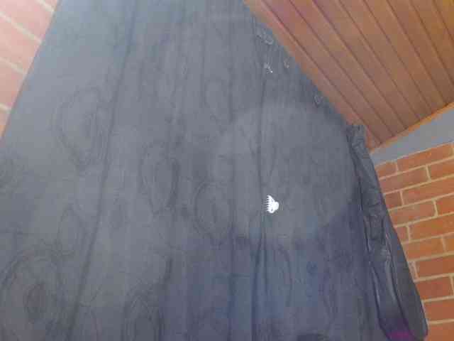 AlexandrinaFenix webcam