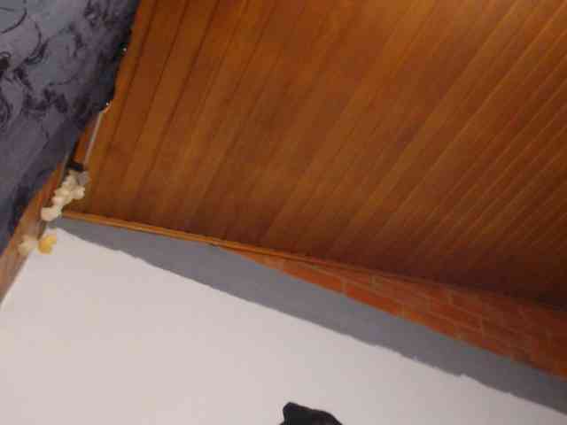 AlexandrinaFenix webcam