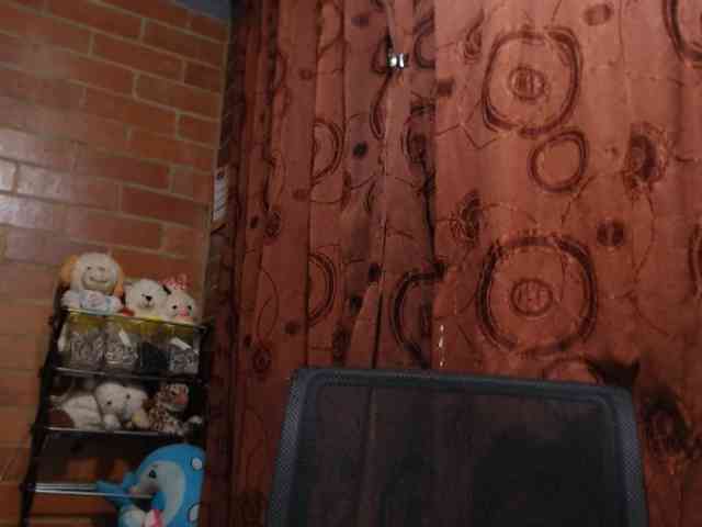 AlexandrinaFenix webcam