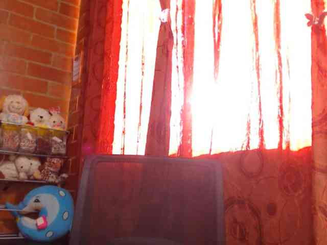 AlexandrinaFenix webcam