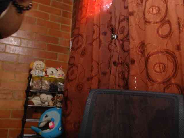 AlexandrinaFenix AlexandrinaFenix