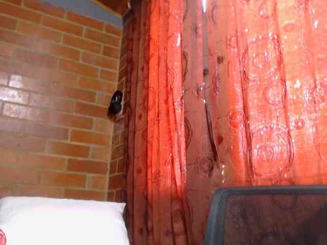 AlexandrinaFenix webcam