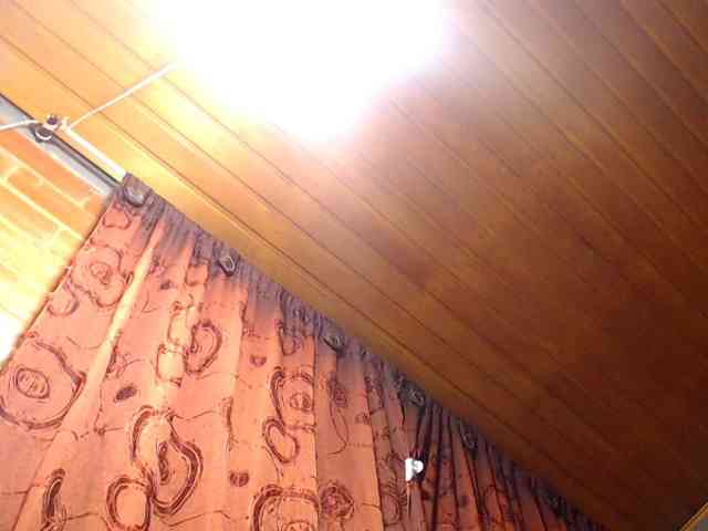 AlexandrinaFenix webcam