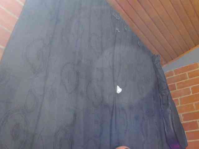 AlexandrinaFenix webcam