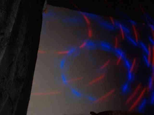 AlexandrinaFenix webcam