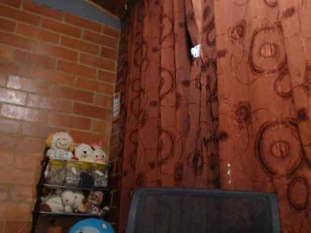 AlexandrinaFenix webcam