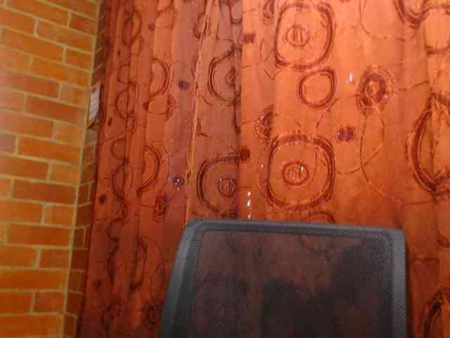 AlexandrinaFenix webcam