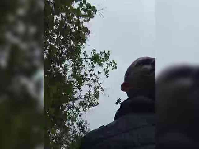 Falos39 Live Webcam on BongaCams