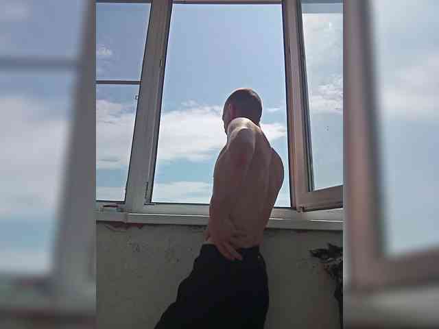 Falos39