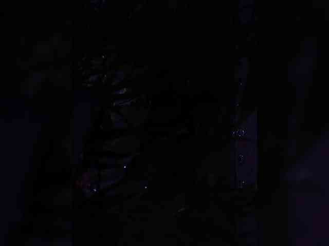 Meganqueennew webcam