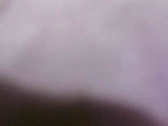 Meganqueennew webcam