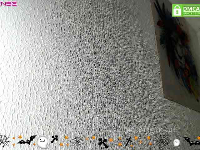 m3gancat webcam