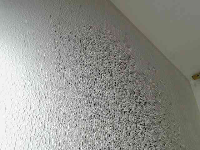 chat room M3gancat