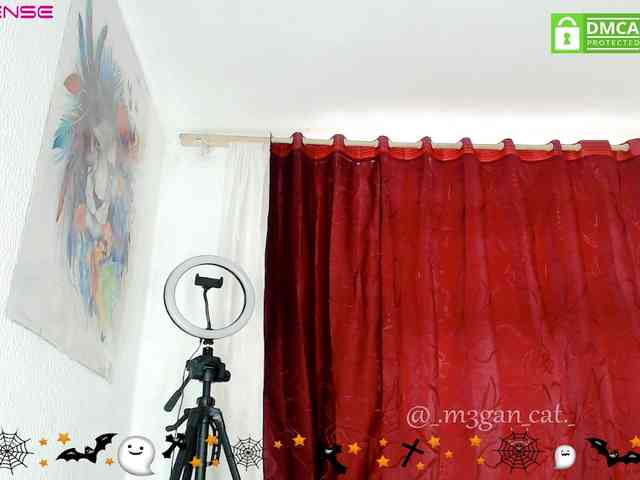 m3gancat webcam