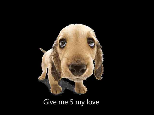 John-Mellow John-Mellow