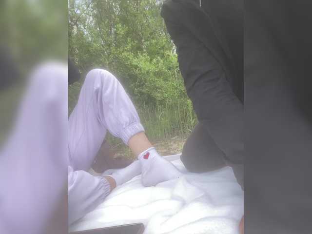purpur33