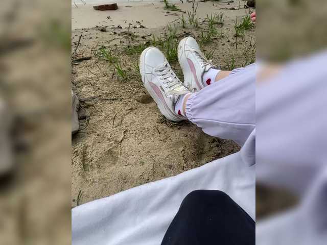purpur33