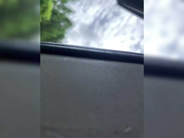 purpur33