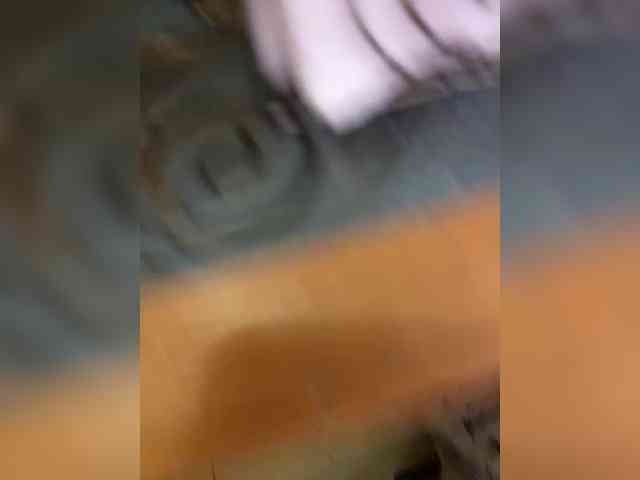 purpur33