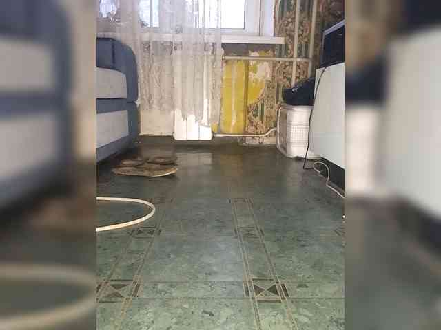 EvelinaPuro4kina114496