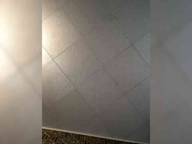 EvelinaPuro4kina114496