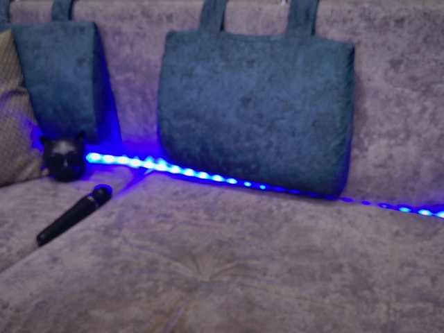 blackcat142's BongaCams show and profile