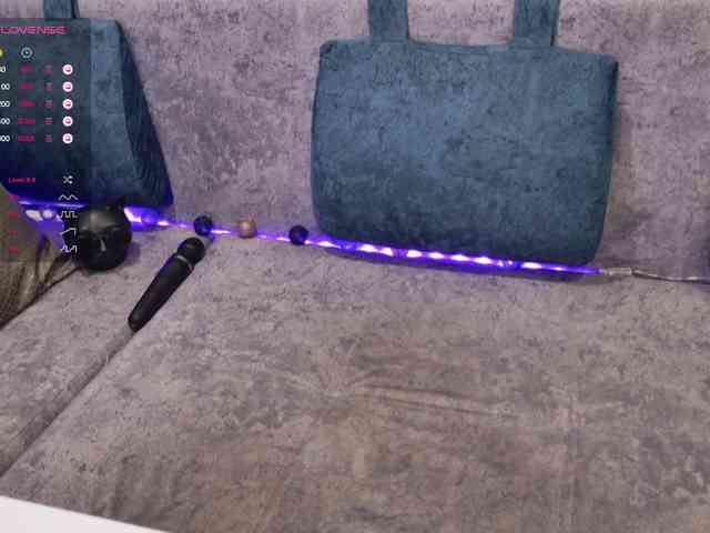 BlackCat142 webcam