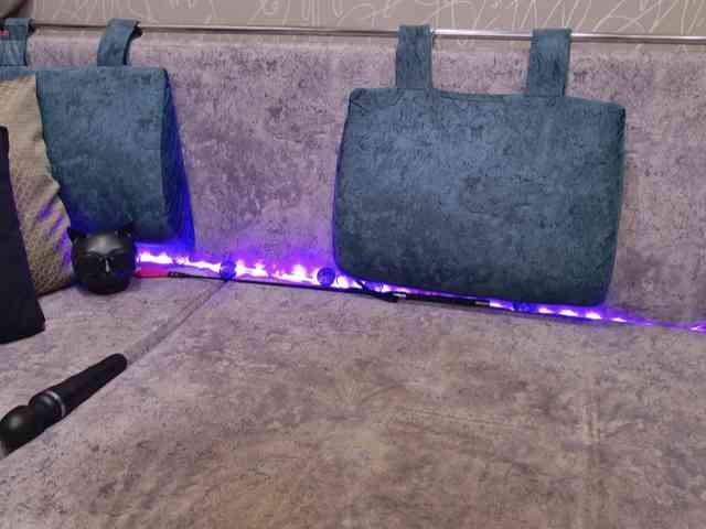 BlackCat142 webcam