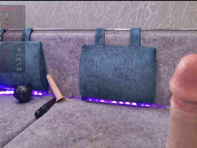 BlackCat142 webcam