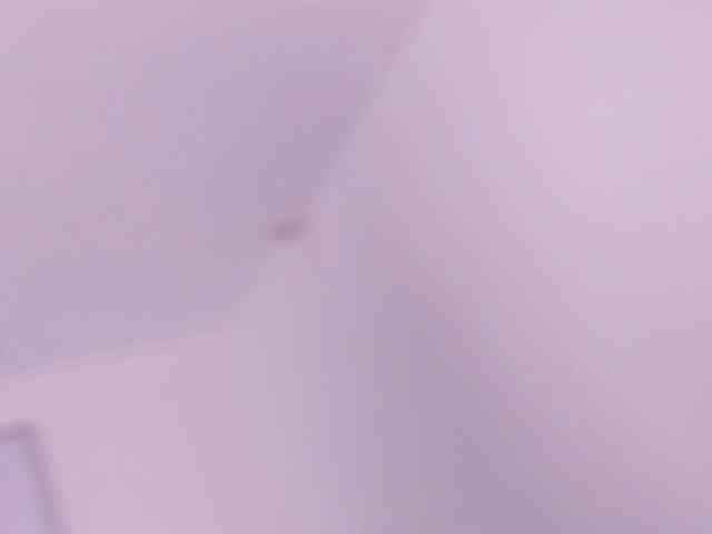 Susan-sweet webcam