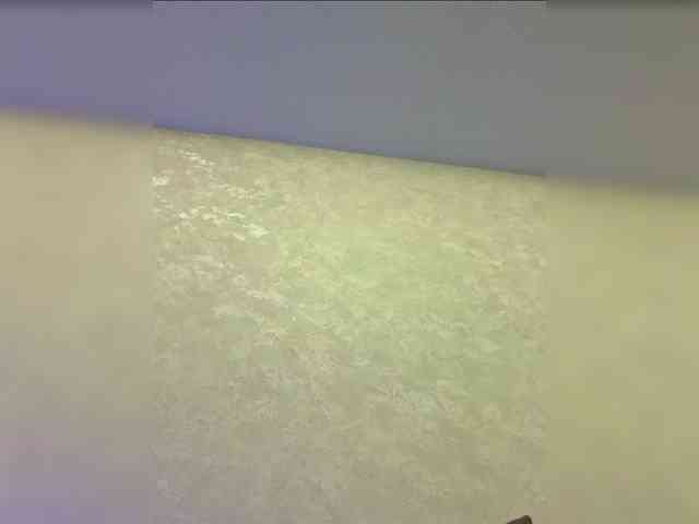 Zarina888 webcam