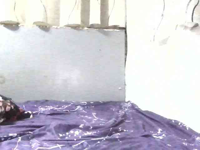 Petmalu webcam