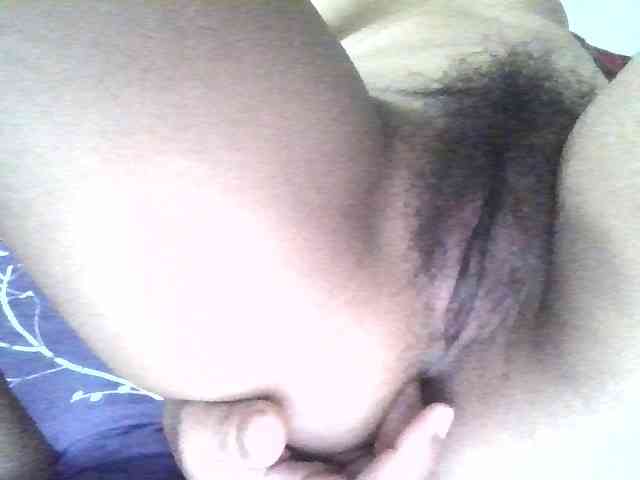 Petmalu webcam