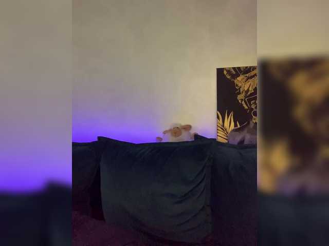 эросцена WILDGIRL