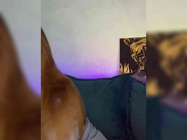WILDGIRL webcam